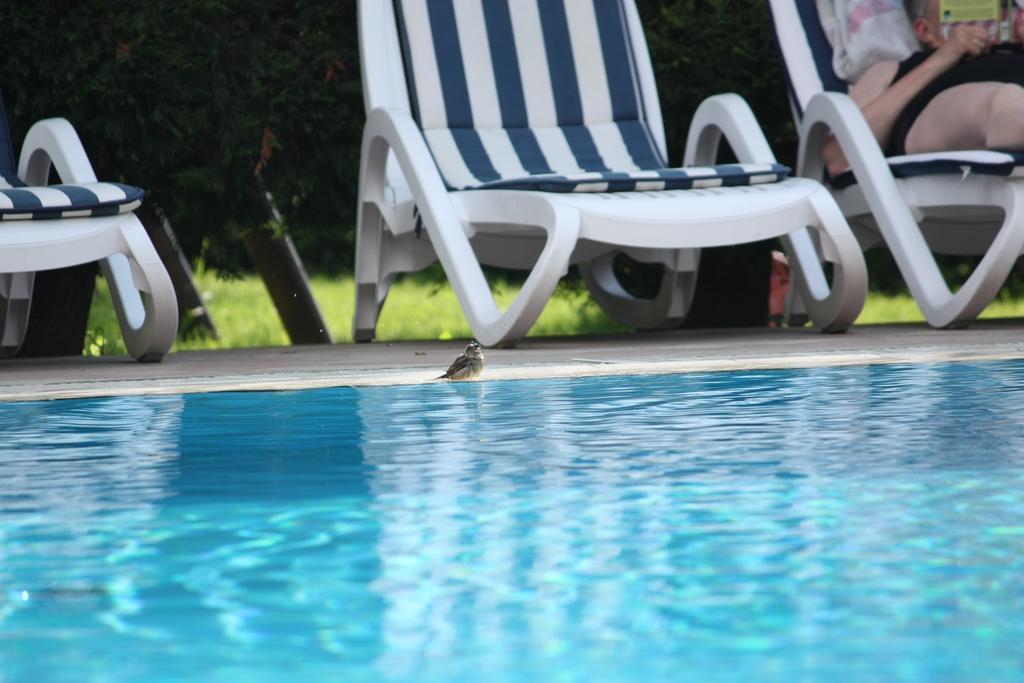 Residence Val Di Monte Malcesine Zewnętrze zdjęcie